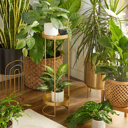 How to Decorate with Indoor Plants | World Market
