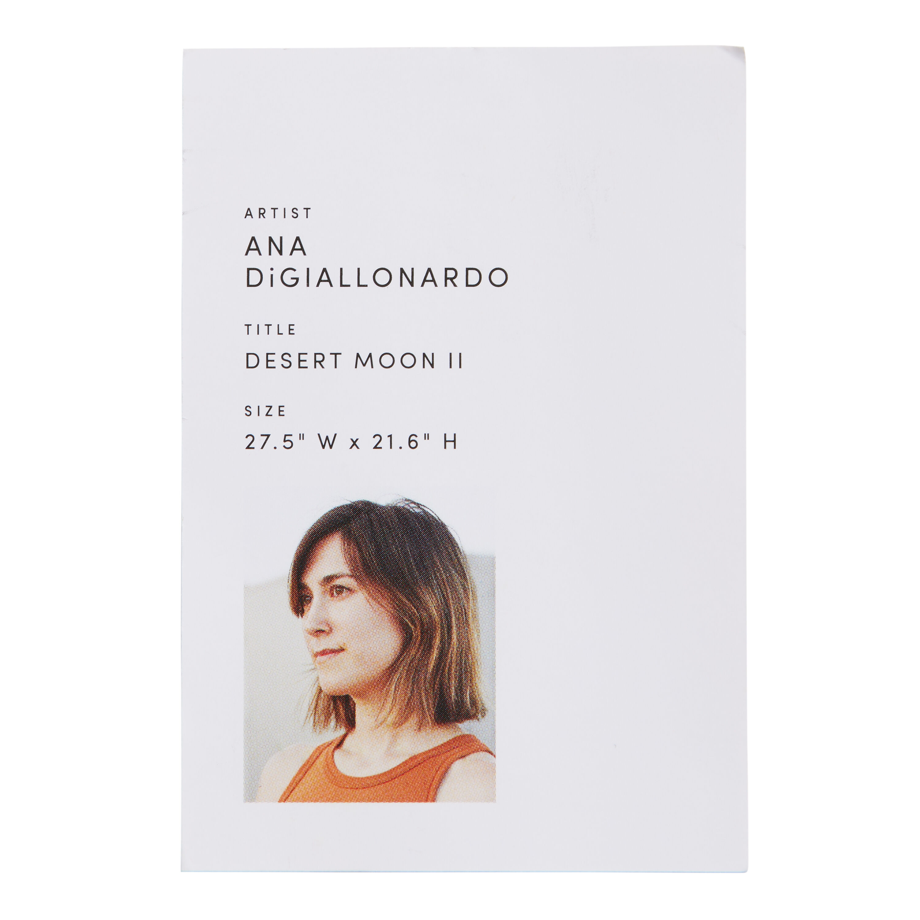 Desert Moon II By Ana DiGiallonardo Linen Scroll Wall Hanging image number 2