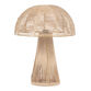 Fenna Jute Rope Dome Table Lamp image number 0