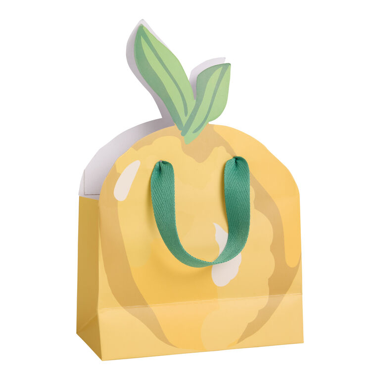 Springtime Bulbs Gift Bag Springtime Bulbs Gift Bag