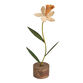 Orange Metal Flower Tabletop Decor Collection image number 1