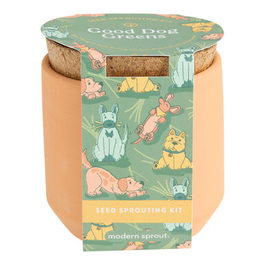 Modern Sprout Tiny Terracotta Good Dog Greens Grow Kit Modern Sprout Tiny Terracotta Good Dog Greens Grow Kit