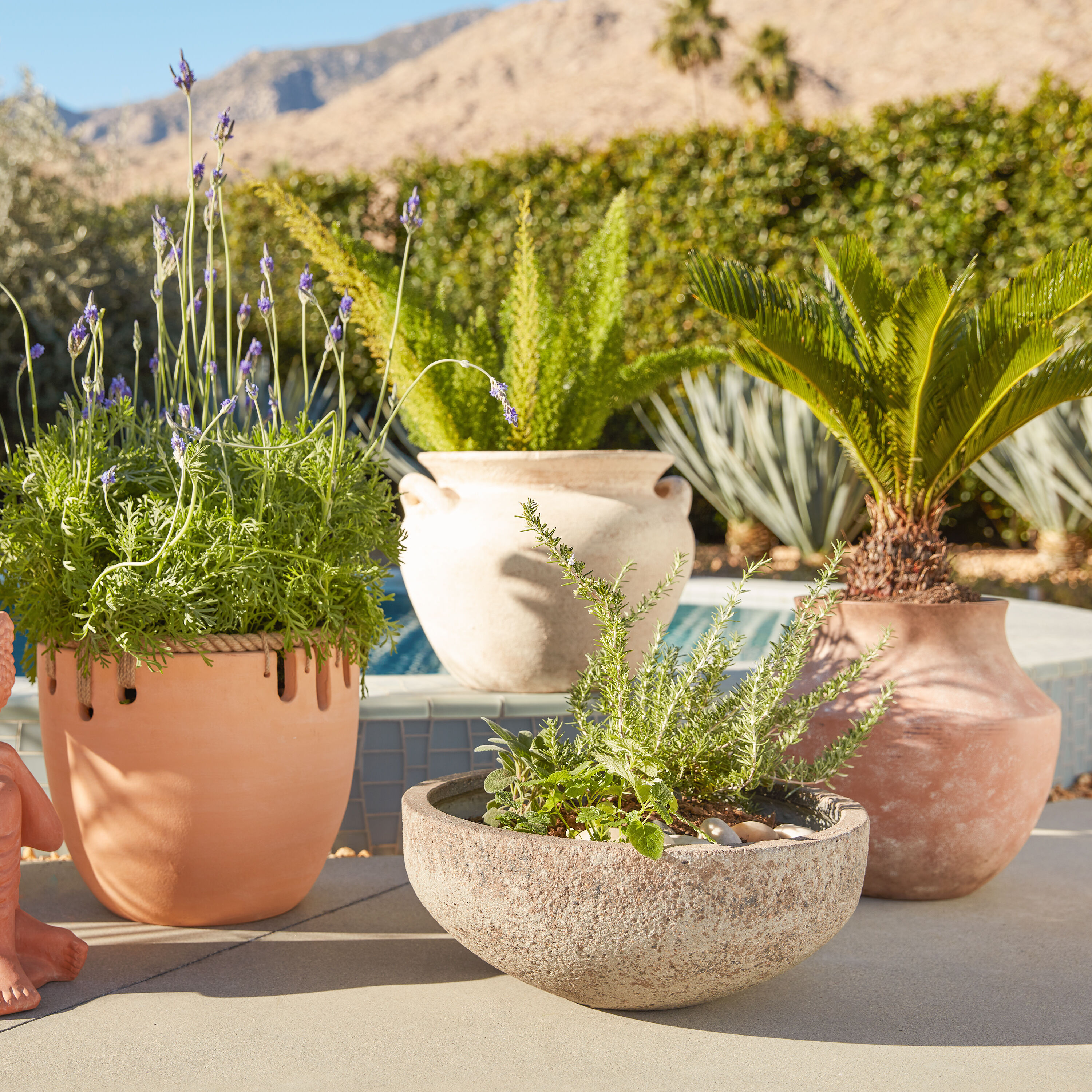 Vera Terracotta Rope Outdoor Planter image number 1