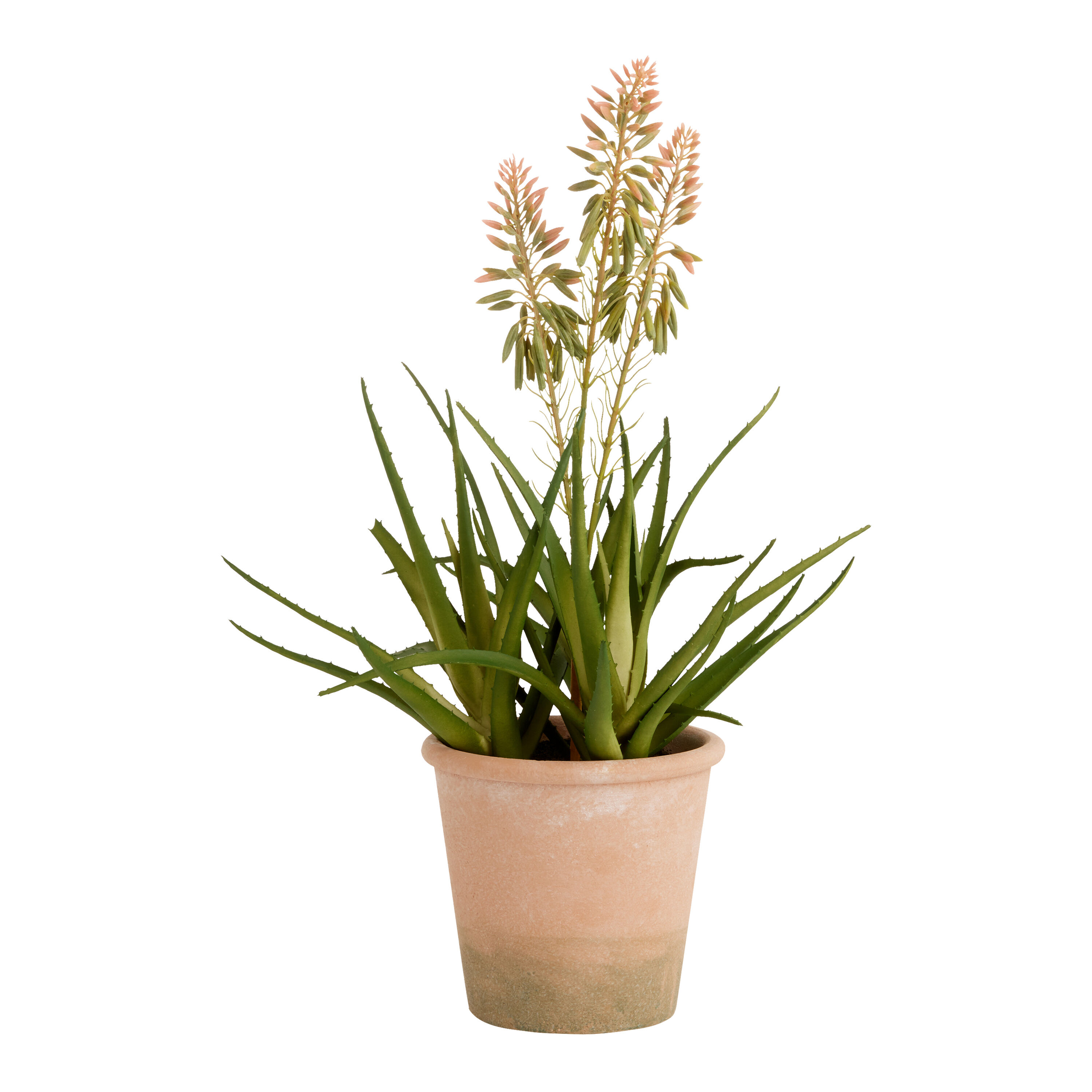 Faux Blooming Agave Plant in Terracotta Pot image number 0