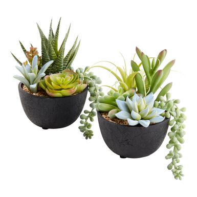 Faux Succulent Arrangements in Black Pots Set of 2 Faux Succulent Arrangements in Black Pots Set of 2