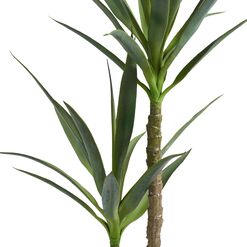 Faux Double Yucca Tree