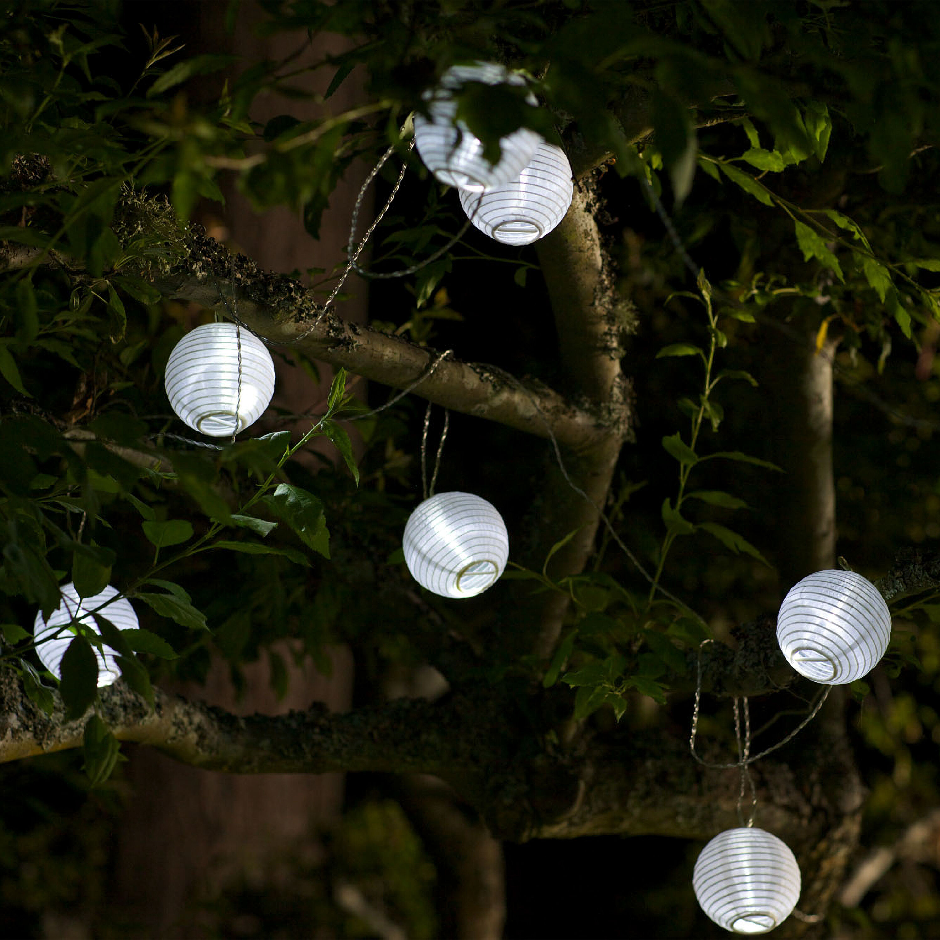 World market solar lights store