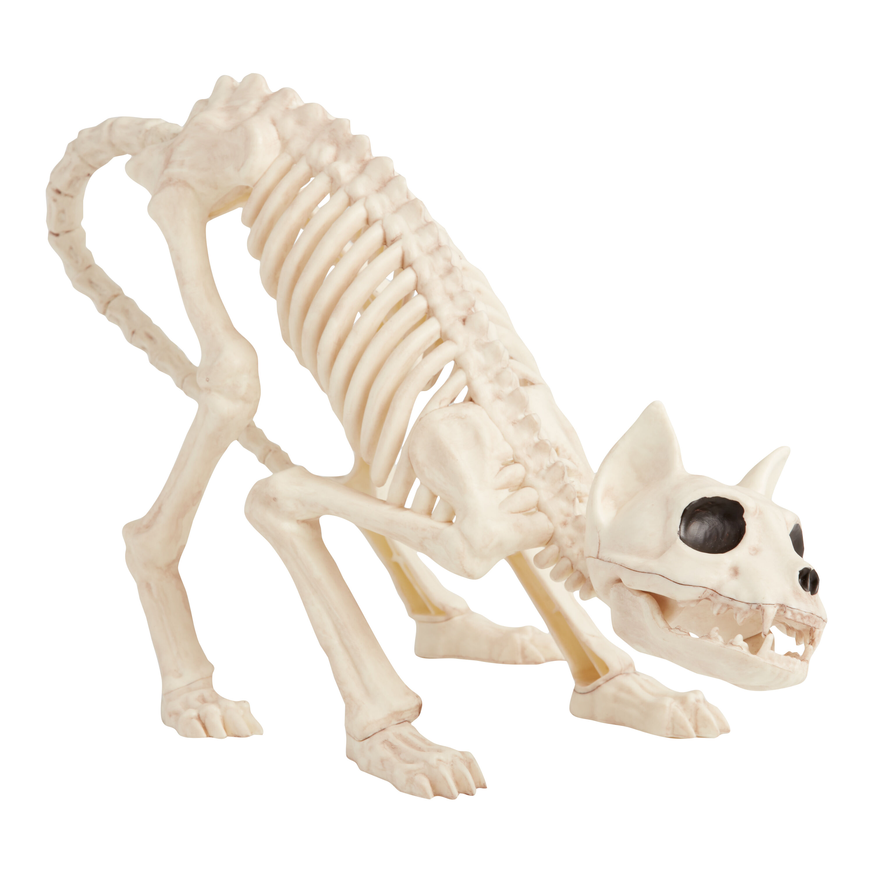 Antique Ivory Cat Skeleton Halloween Decor image number 0