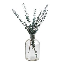 Wide Neck Clear Glass Vase