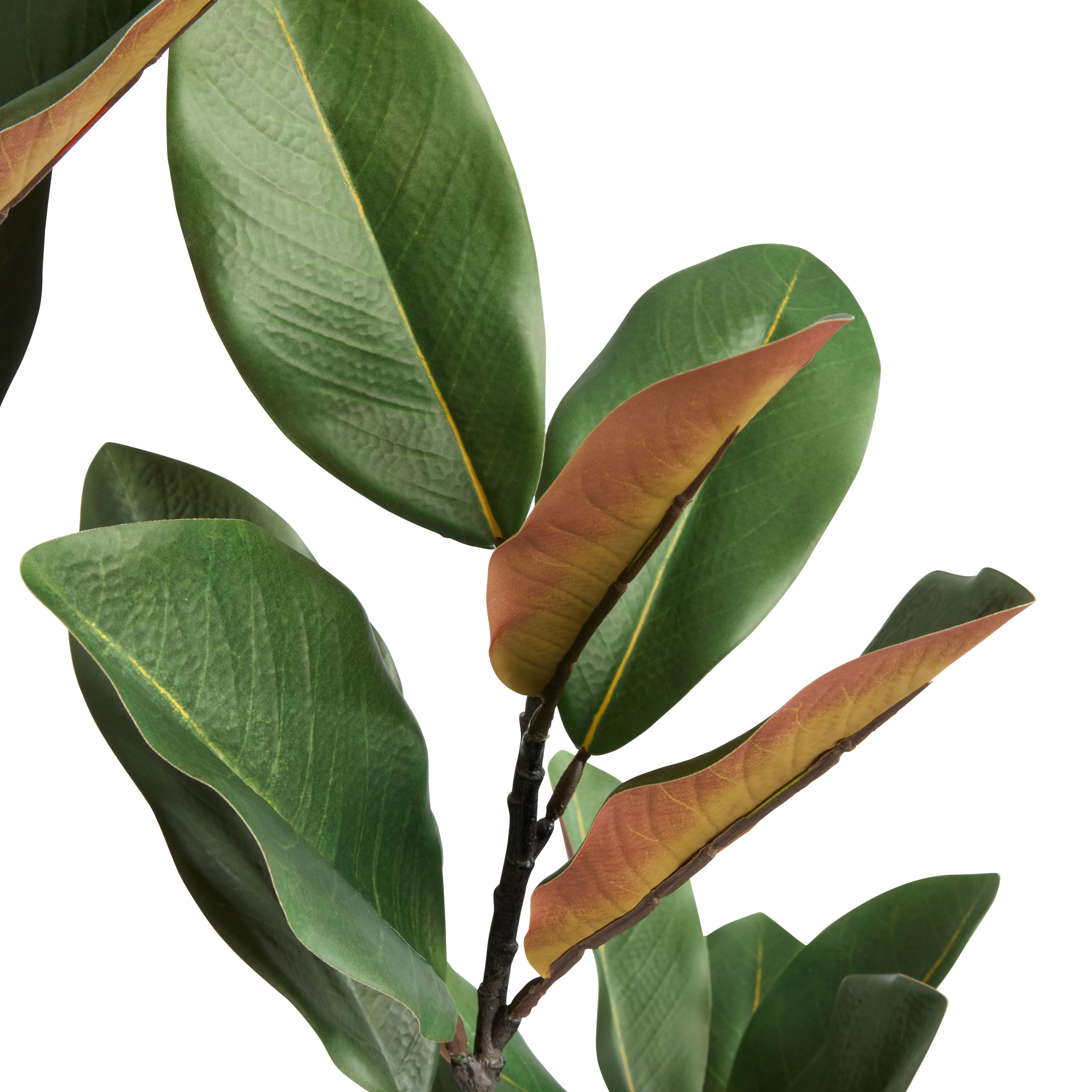 Faux Magnolia Leaf Tree