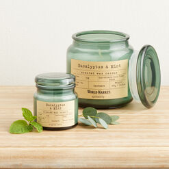 Apothecary Eucalyptus & Mint Home Fragrance Collection