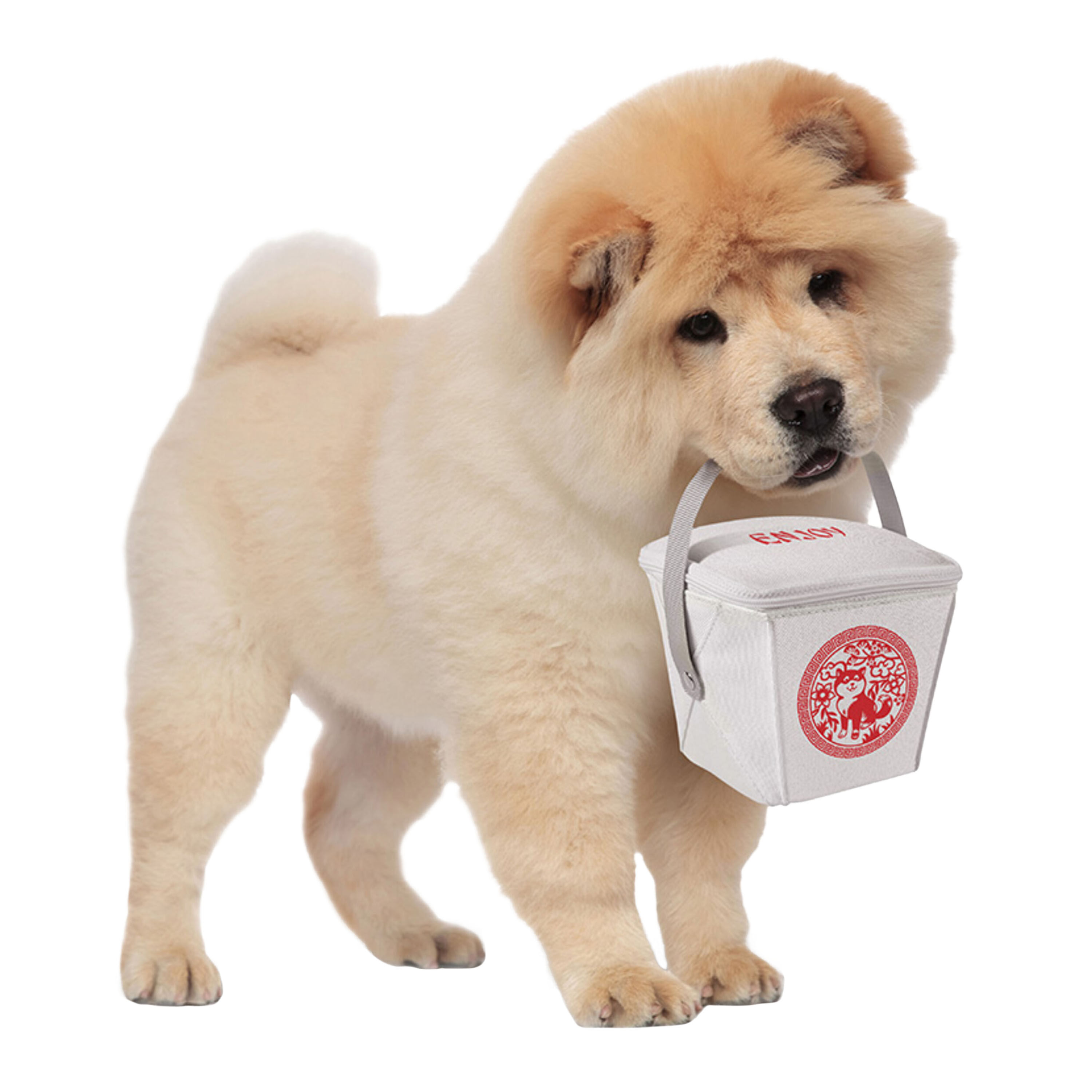 Fred Howligans Dog Take Out Lunch Bag by World Market