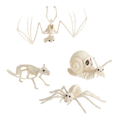 Ivory Critter Skeleton Halloween Decor Set of 4 Ivory Critter Skeleton Halloween Decor Set of 4