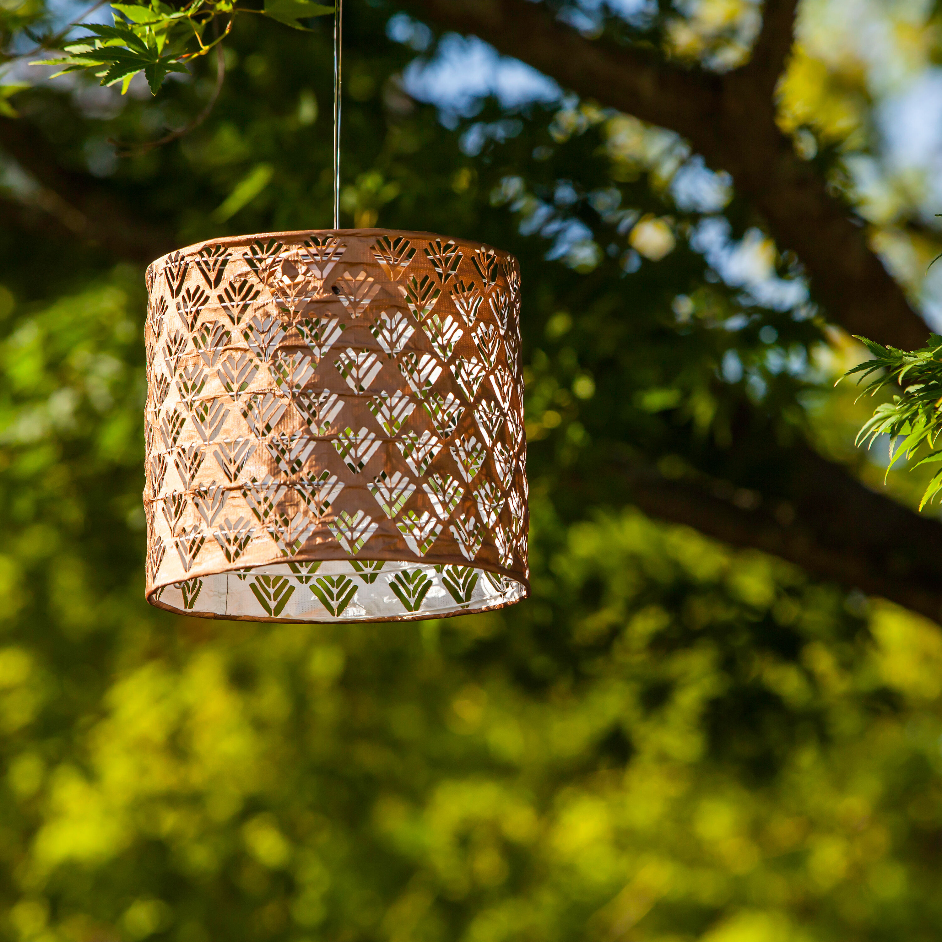 World market solar shop lantern