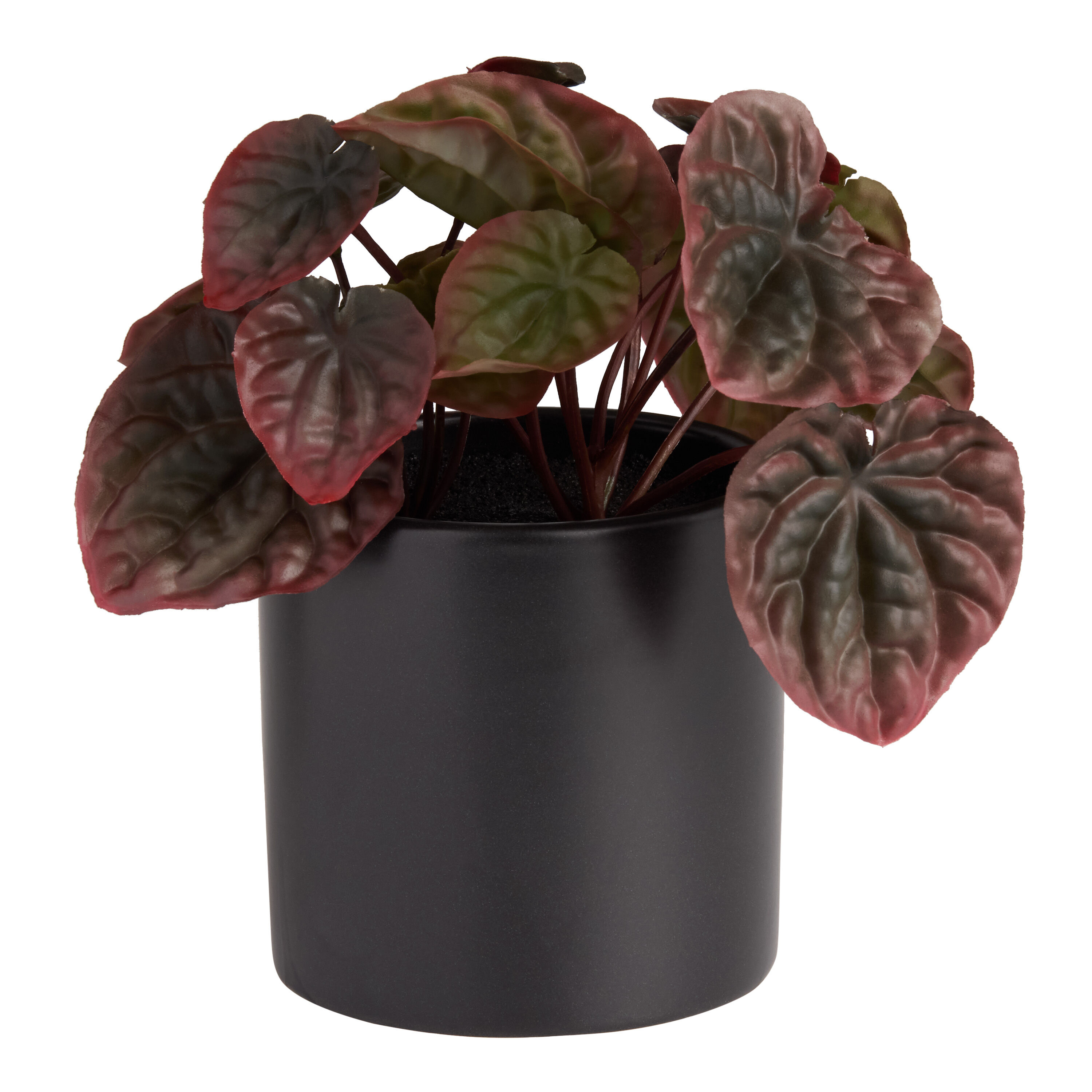 Burgundy Faux Peperomia Plant in Black Porcelain Pot image number 0