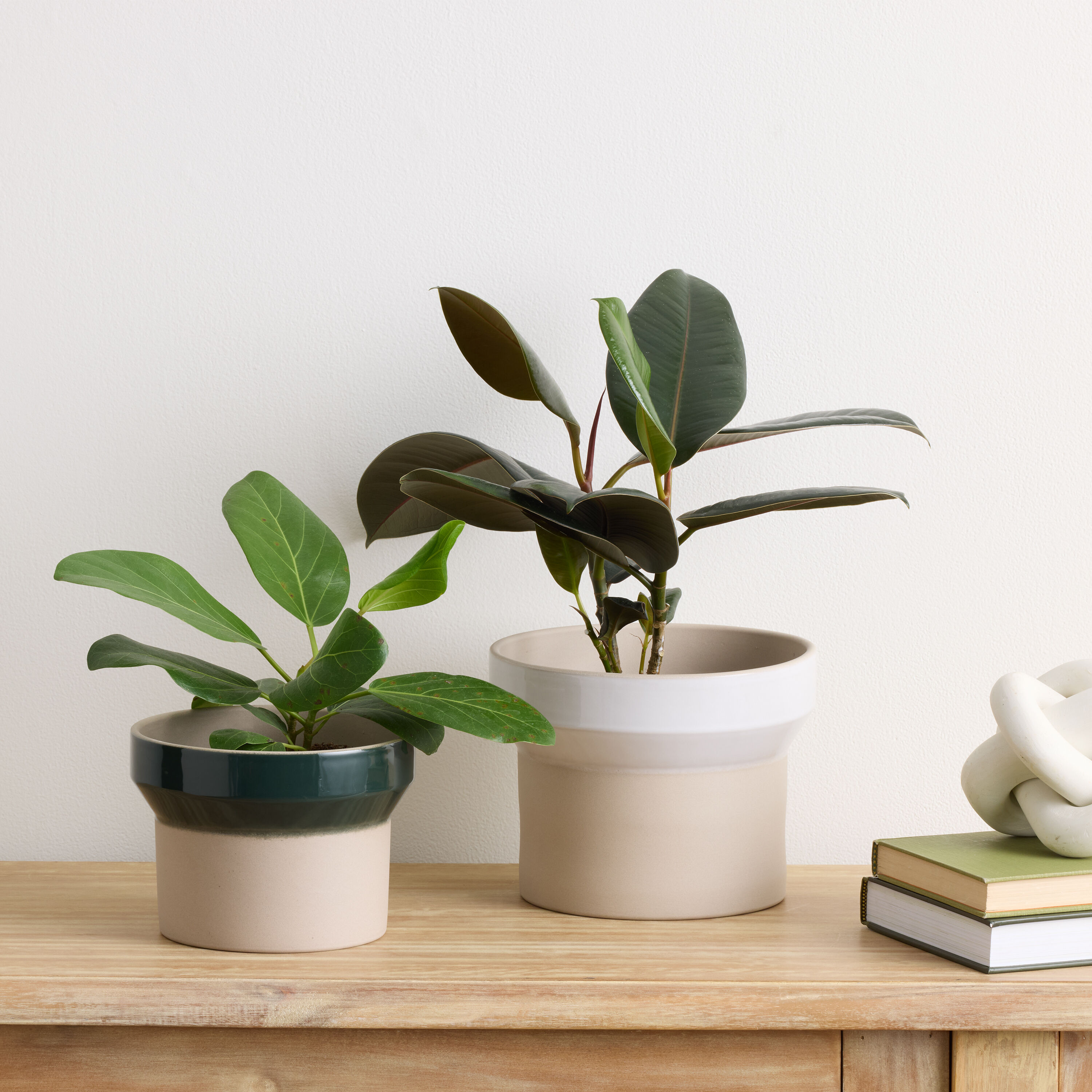 White Banded Stoneware Planter image number 1