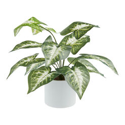 Faux Dasheen Leaf Plant in White Cement Pot