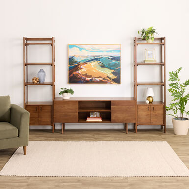 Dane Modular 60 Inch Media Wall System with Narrow Cabinet Shelves 3 Piece Set Dane Modular 60 Inch Media Wall System with Narrow Cabinet Shelves 3 Piece Set