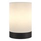 Lina Metal And Linen Cylinder Accent Lamp image number 1