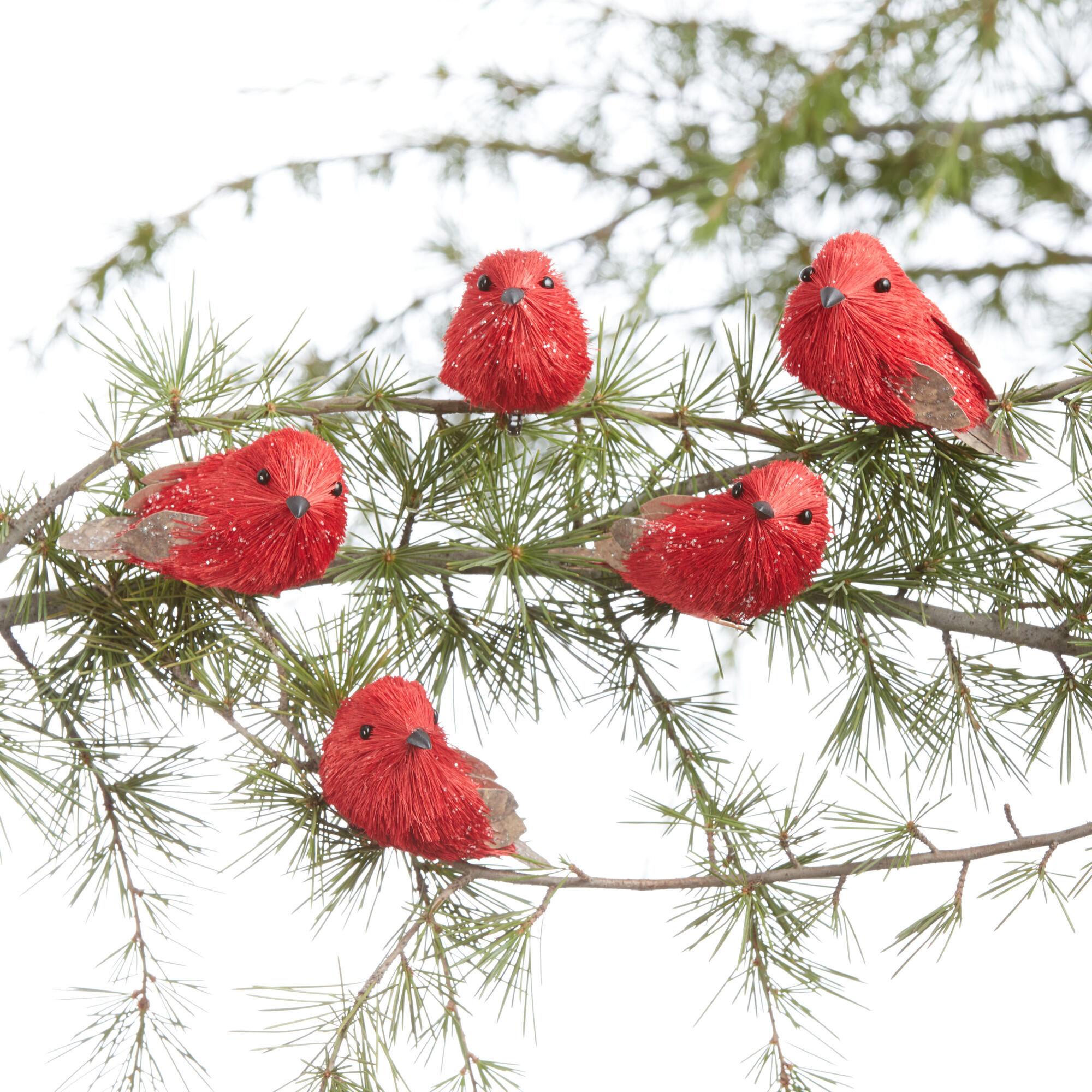 Bird Clip Ornaments 5 Pack image number 0