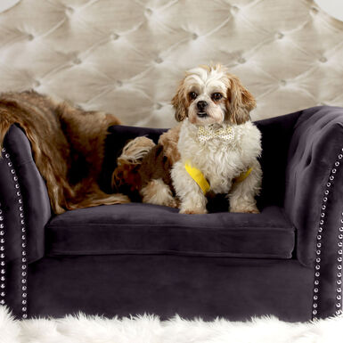 Walter Gray Velvet Tufted Sofa Style Upholstered Pet Bed Walter Gray Velvet Tufted Sofa Style Upholstered Pet Bed