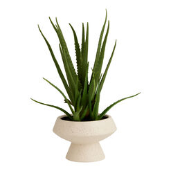 Faux Aloe Plant in Speckled Ivory Ceramic Pot