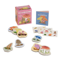 Mushrooms Wooden Magnet Mini Kit
