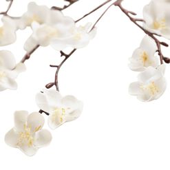 White Faux Velvet Plum Blossom Stems Set Of 2