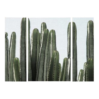 Desert Detail Triptych Canvas Wall Art 3 Piece Desert Detail Triptych Canvas Wall Art 3 Piece