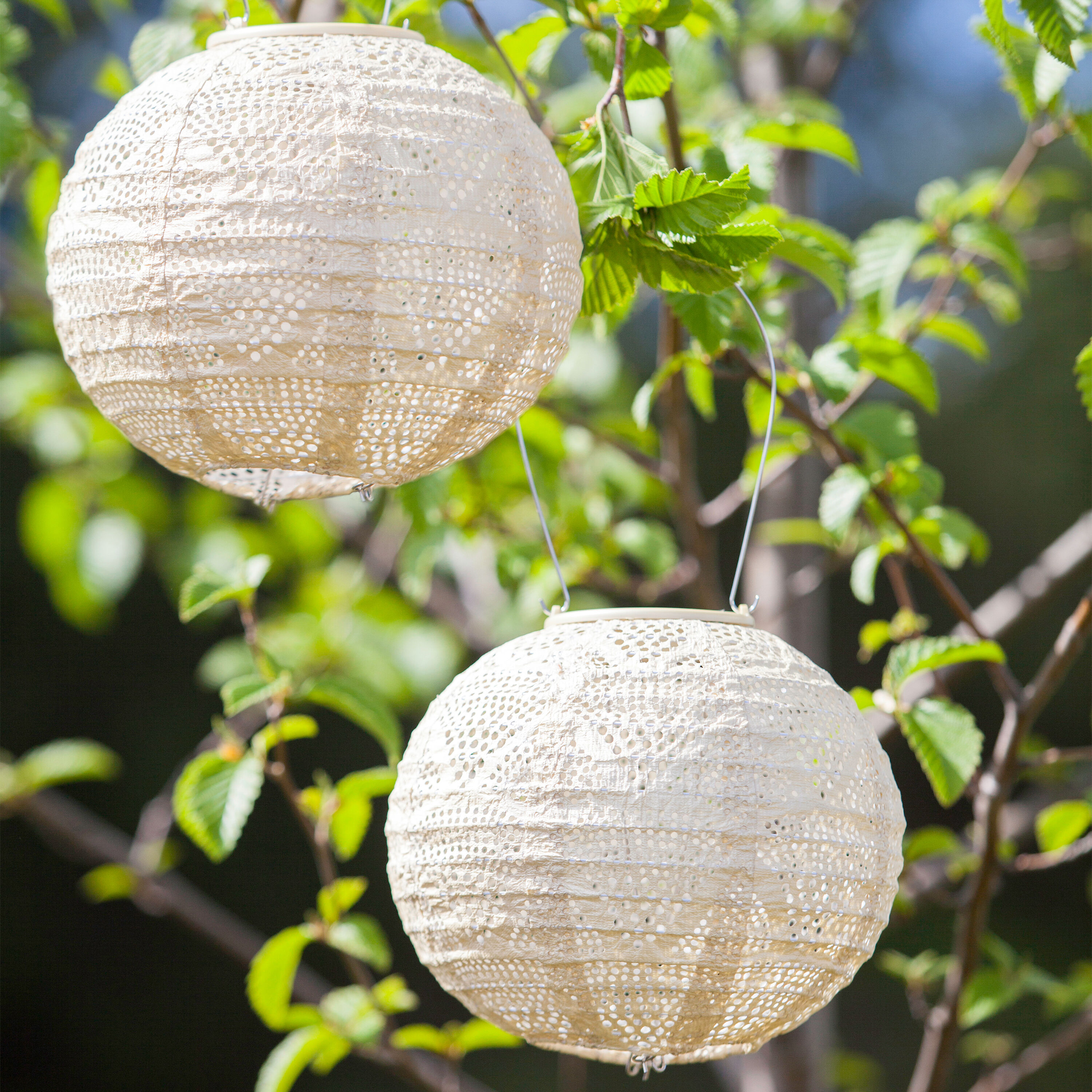 World market solar lantern store
