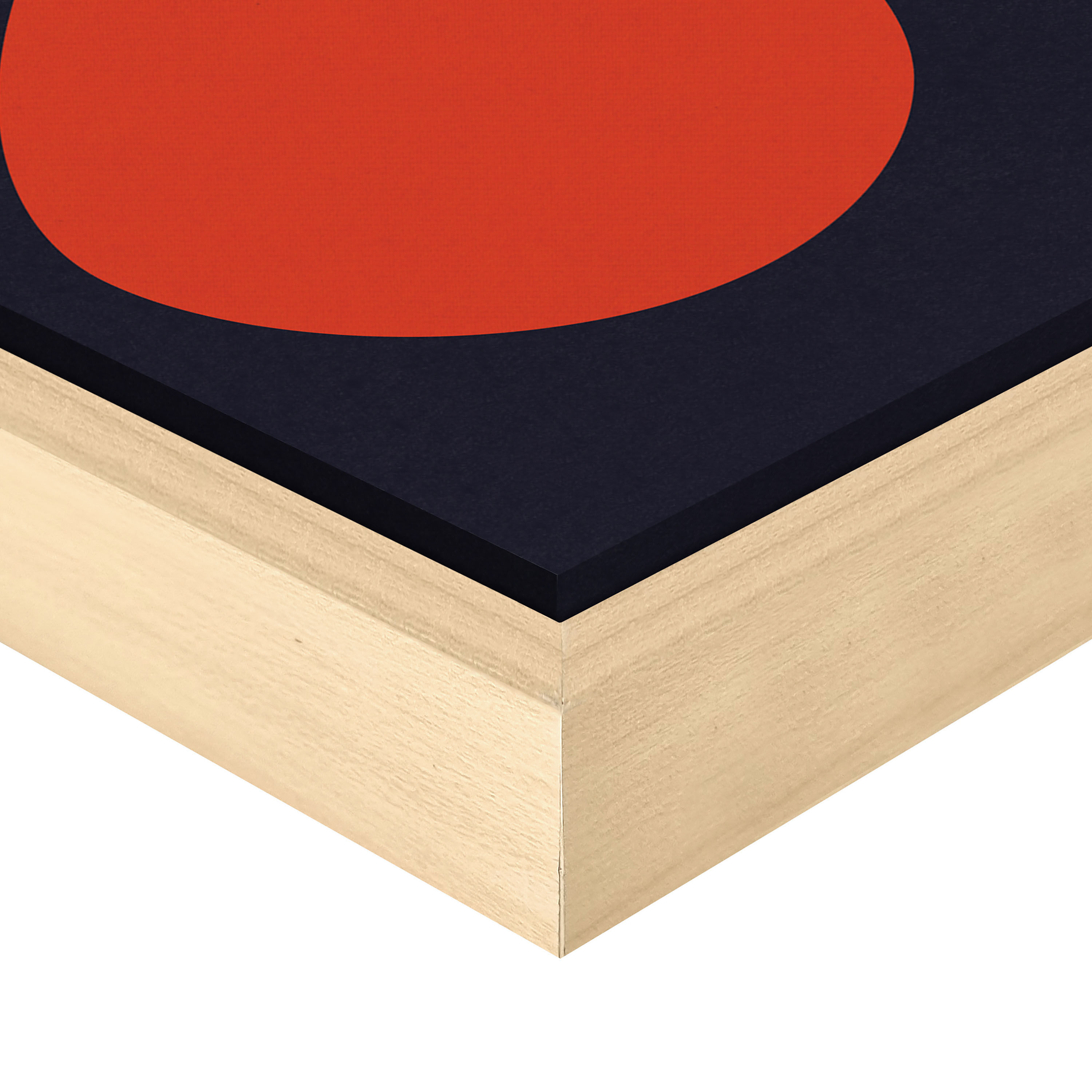 Lazy Plant by Alisa Galitsyna Framed Canvas Wall Art image number 2