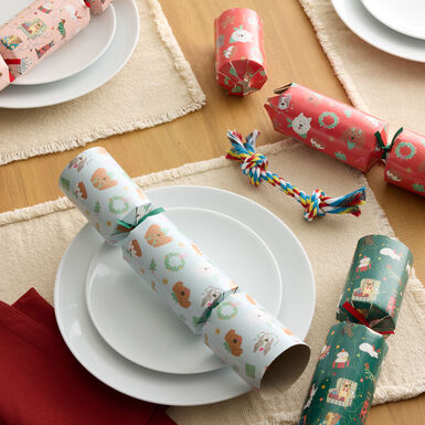Multicolor Dog Toy Christmas Crackers Set of 4 Multicolor Dog Toy Christmas Crackers Set of 4