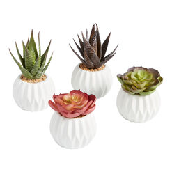 Faux Succulents in Geo Ceramic Pots Set of 4