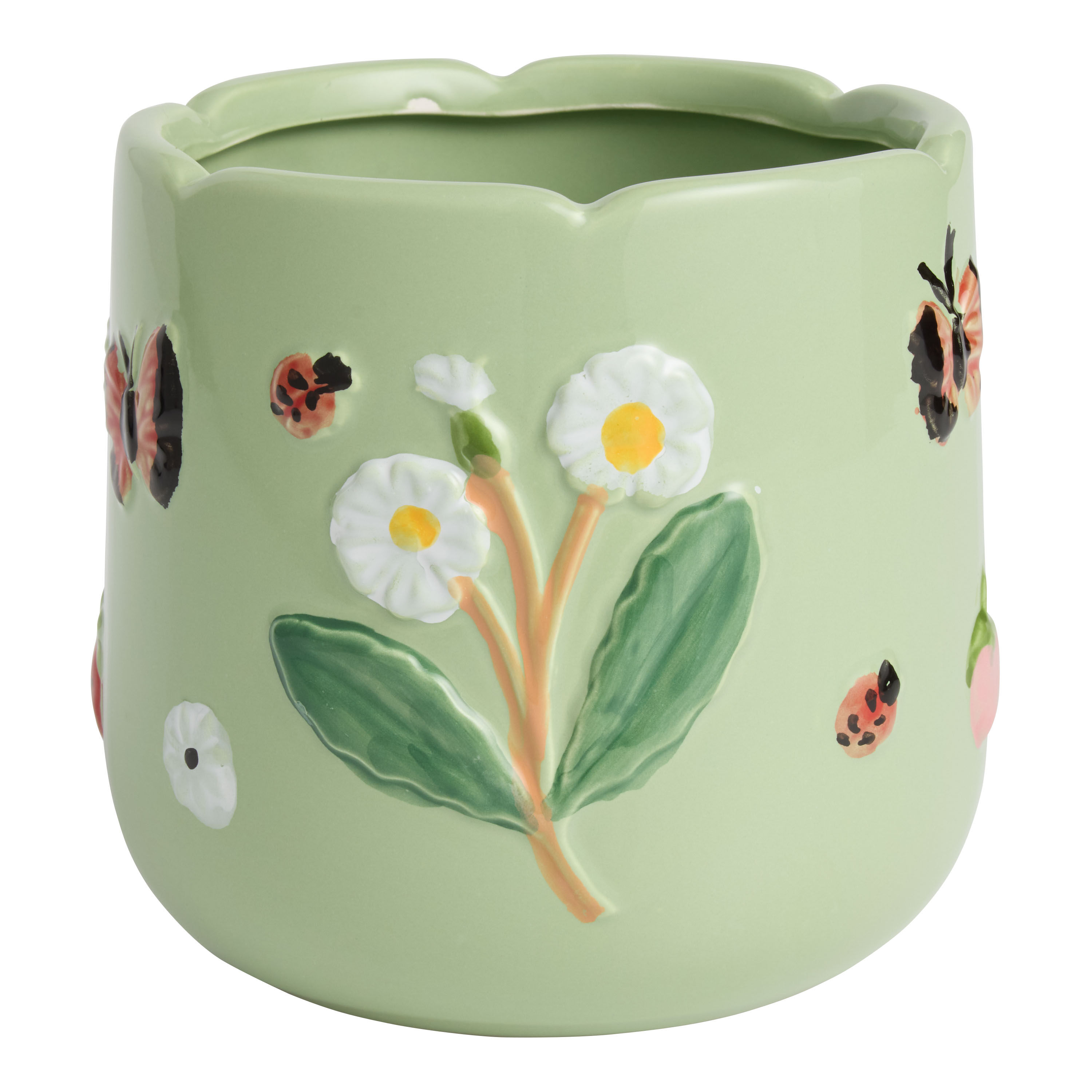 Green Ceramic Botanicals and Bugs Planter image number 0