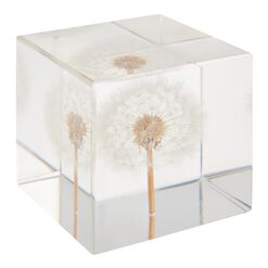 Square Resin Dandelion Paperweight