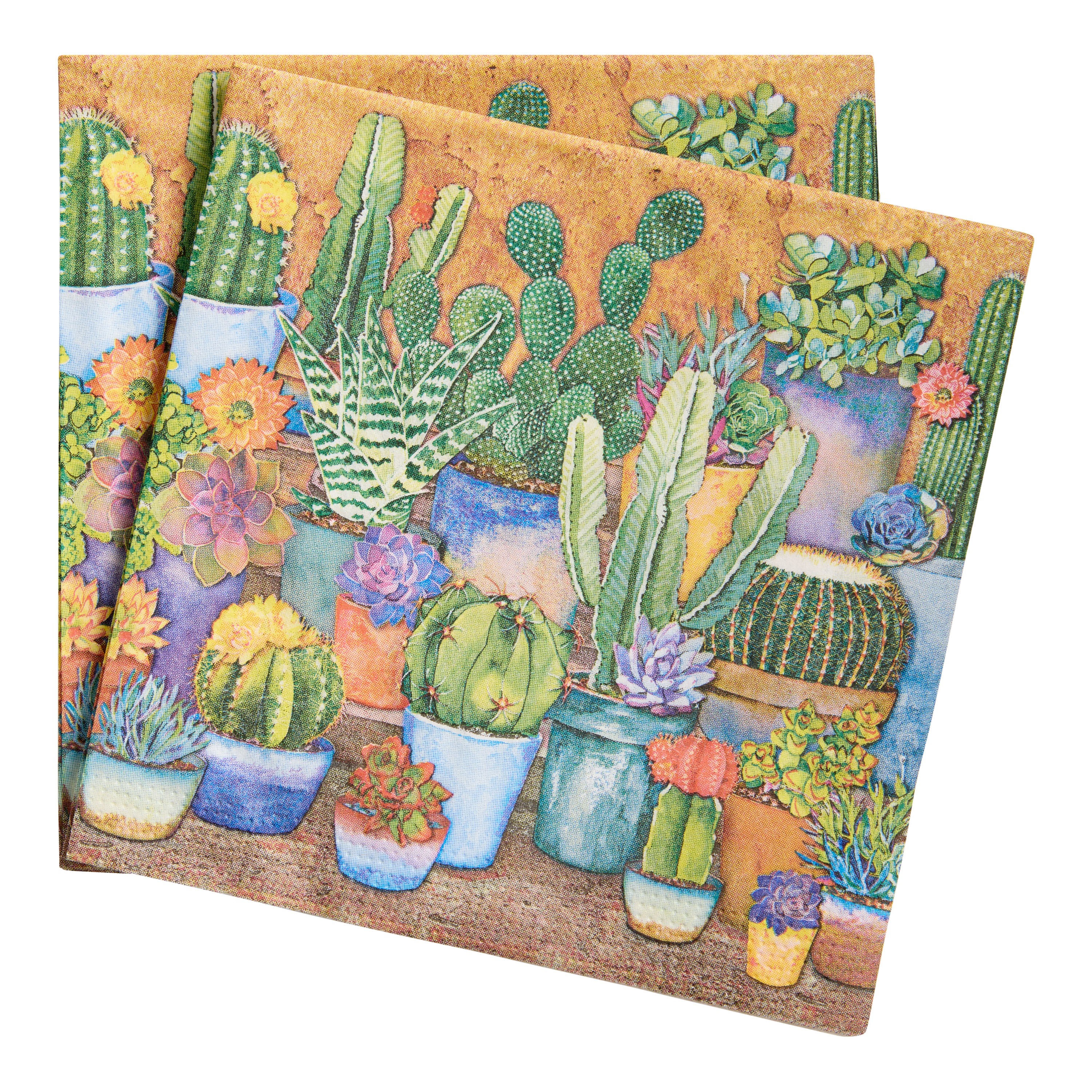 Southwest Succulents Beverage Napkins 20 Count image number 0