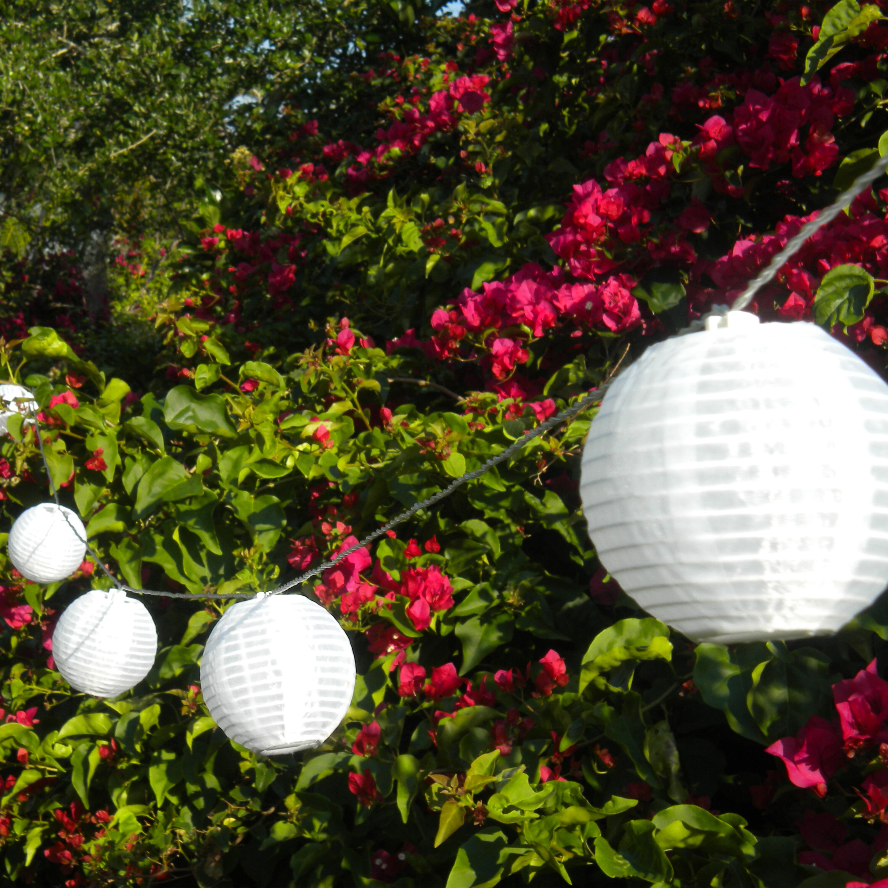 Glow Nylon Solar LED 10 Bulb String Lights World Market