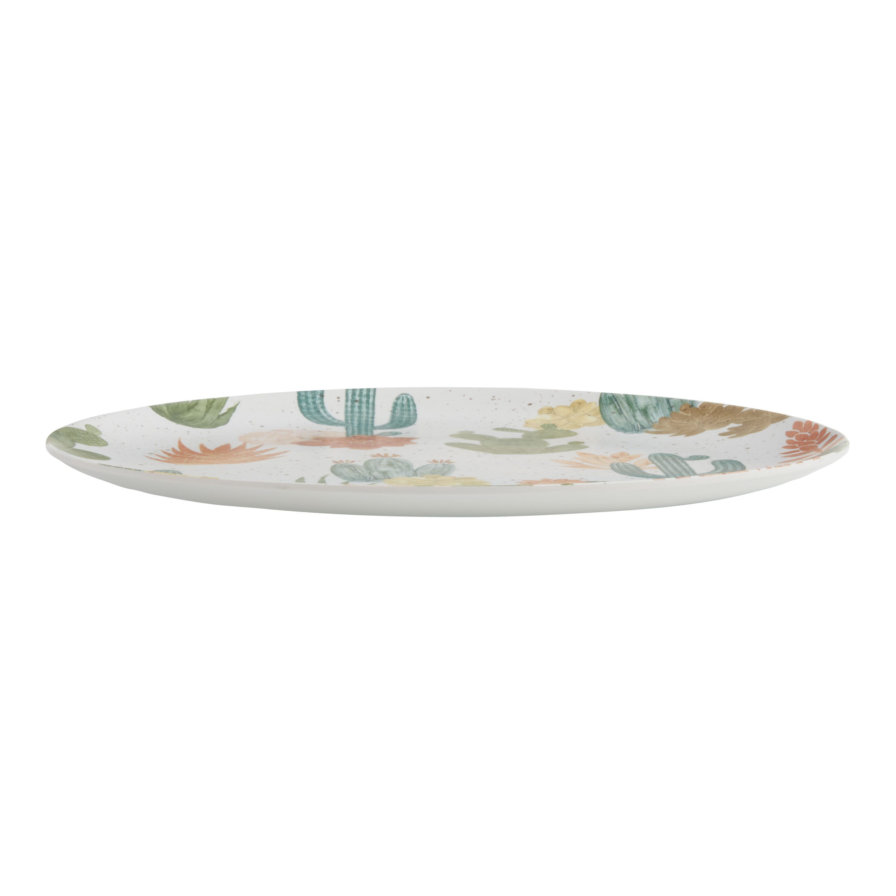 Desert Cactus Melamine Dinnerware Collection World Market