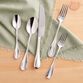 Craft Flatware 20 Piece Set image number 1