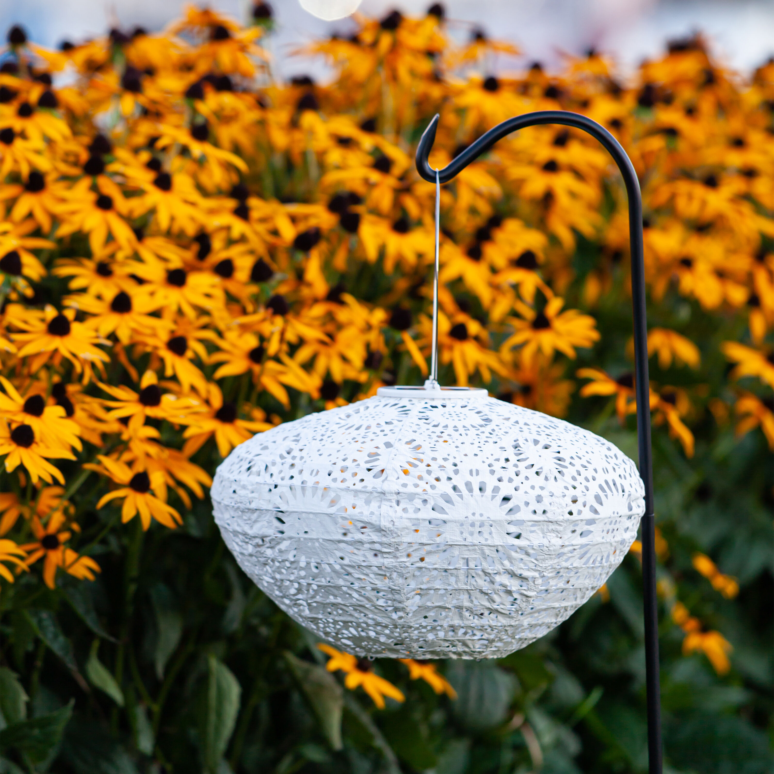 Lace outlet solar lantern