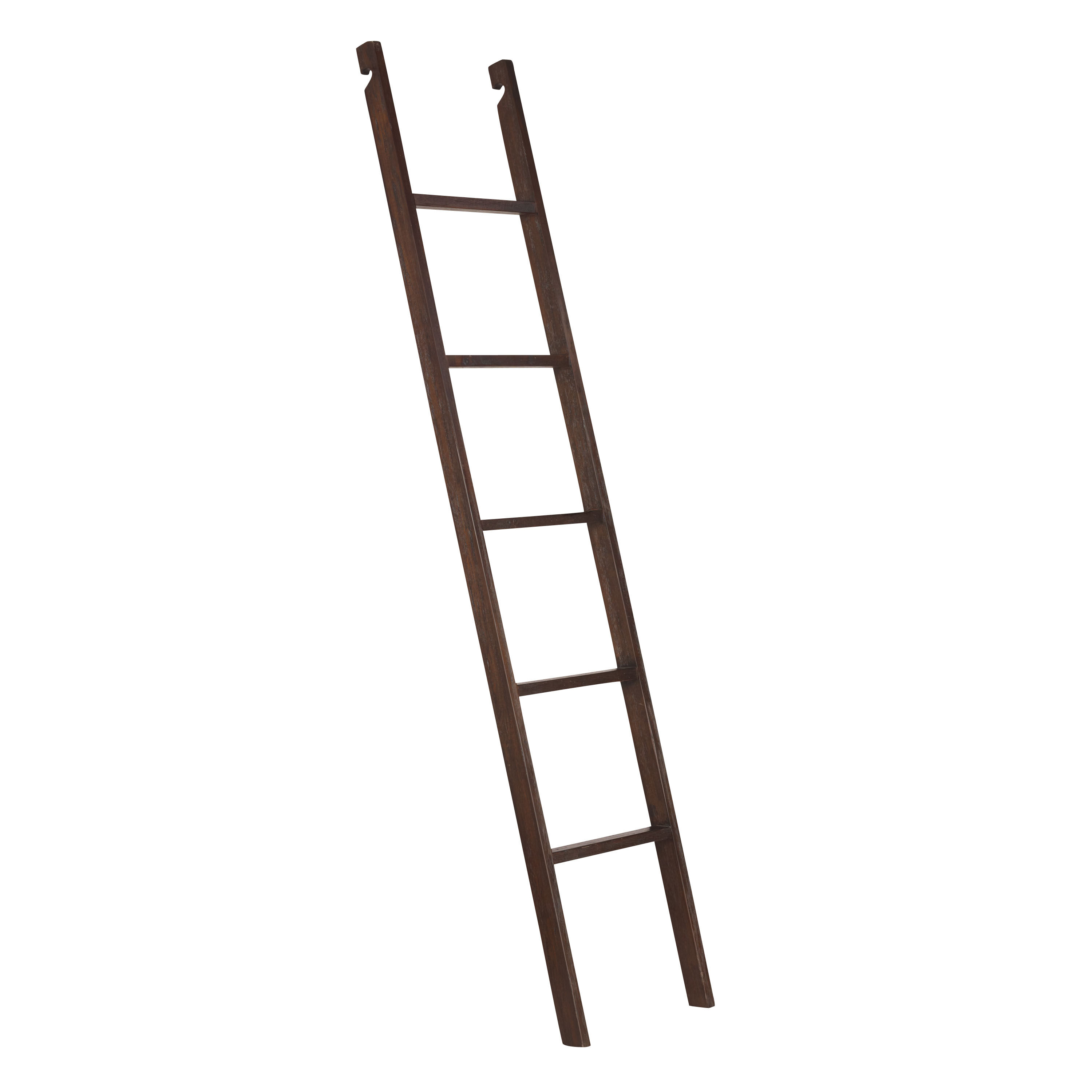 Augustus Roasted Cocoa Wood Bookshelf Ladder World Market