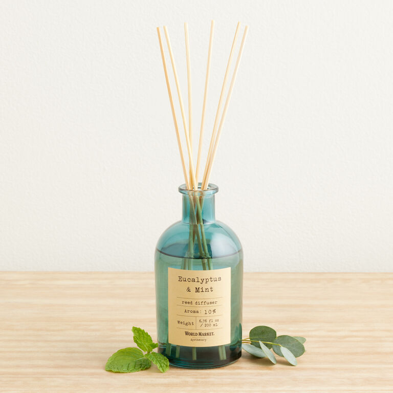 Apothecary Eucalyptus & Mint Home Fragrance Collection - World Market