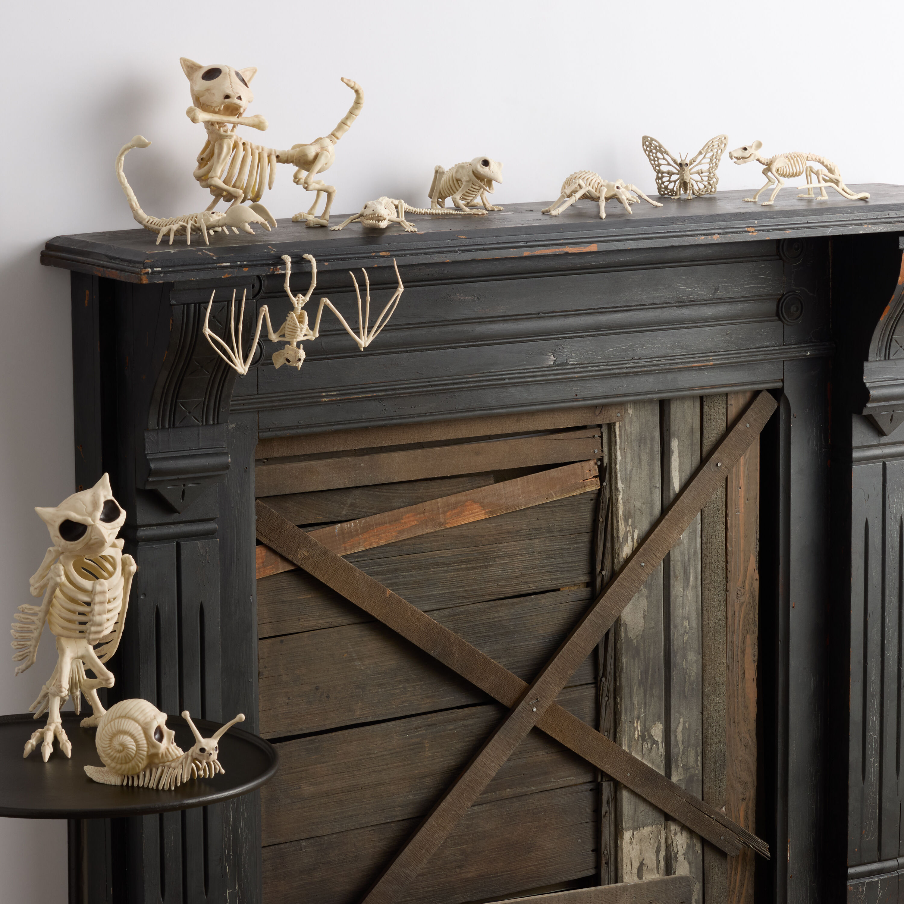 Ivory Critter Skeleton Halloween Decor Collection image number 0