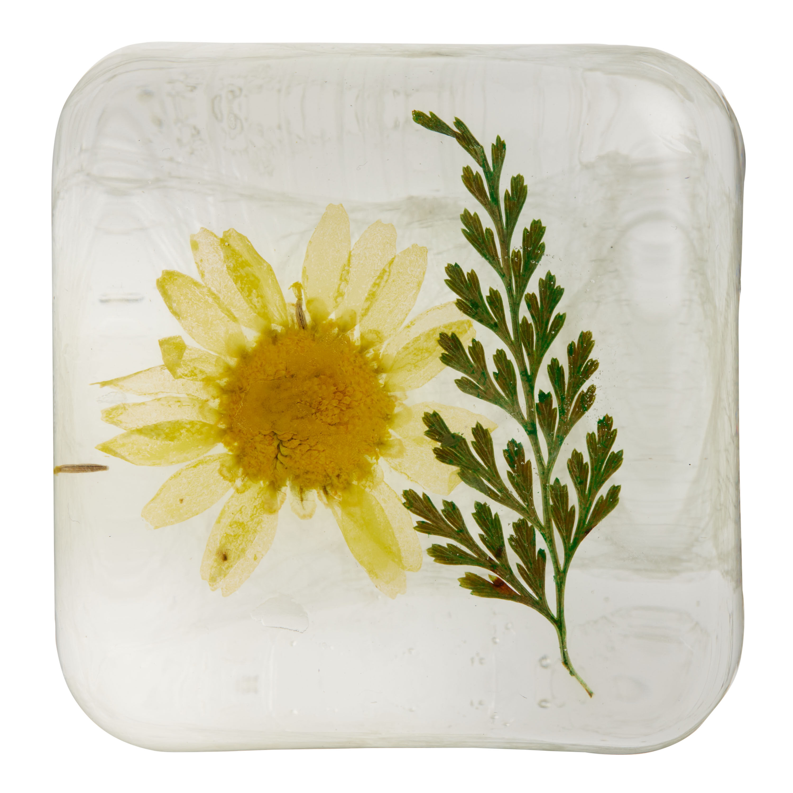 Botanical Glycerin Aloe Vera Bar Soap Collection image number 0