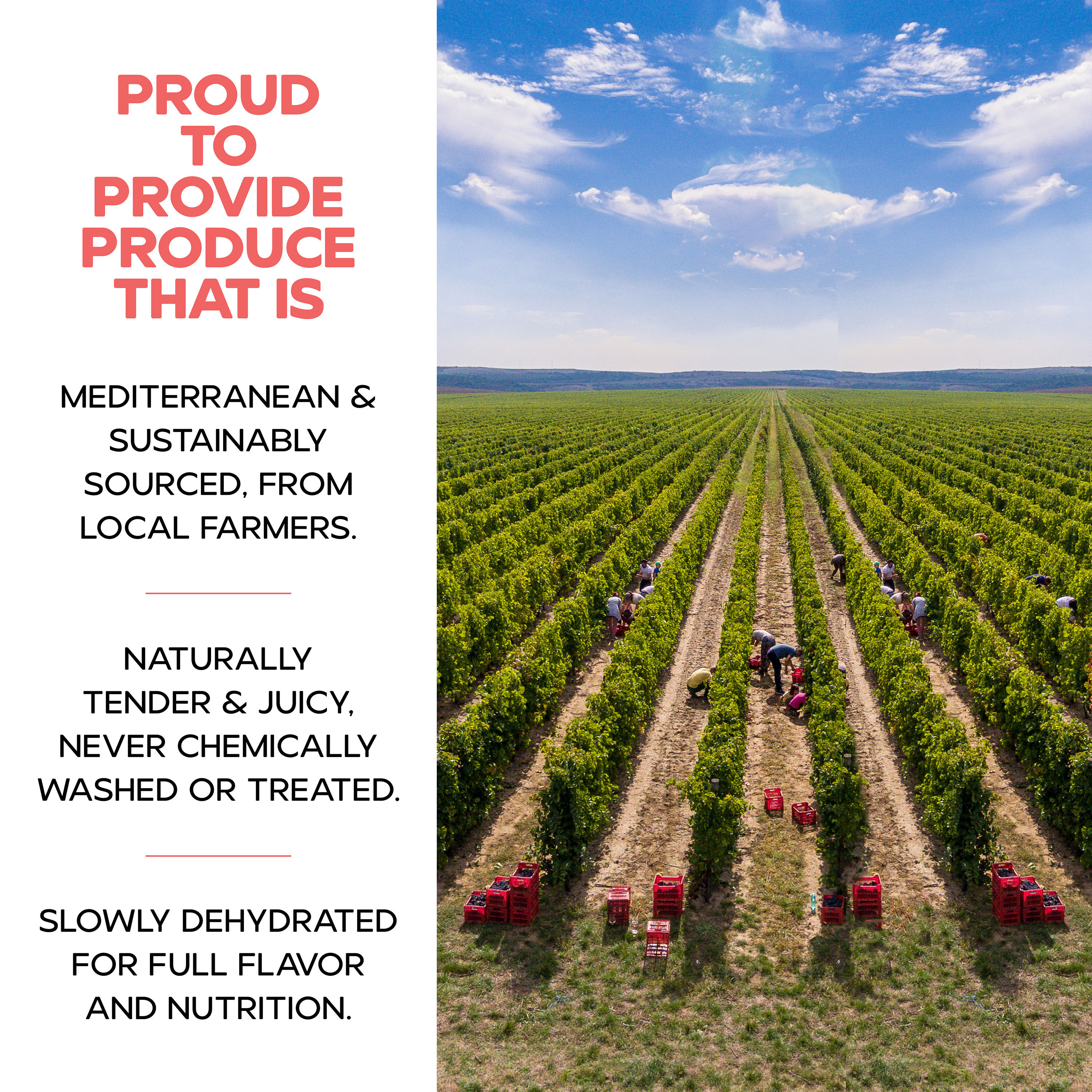 Drybox Dried Turkish Figs Snack Size image number 4