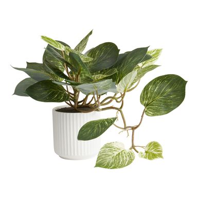 Faux Pothos Plant in White Ceramic Pot Faux Pothos Plant in White Ceramic Pot