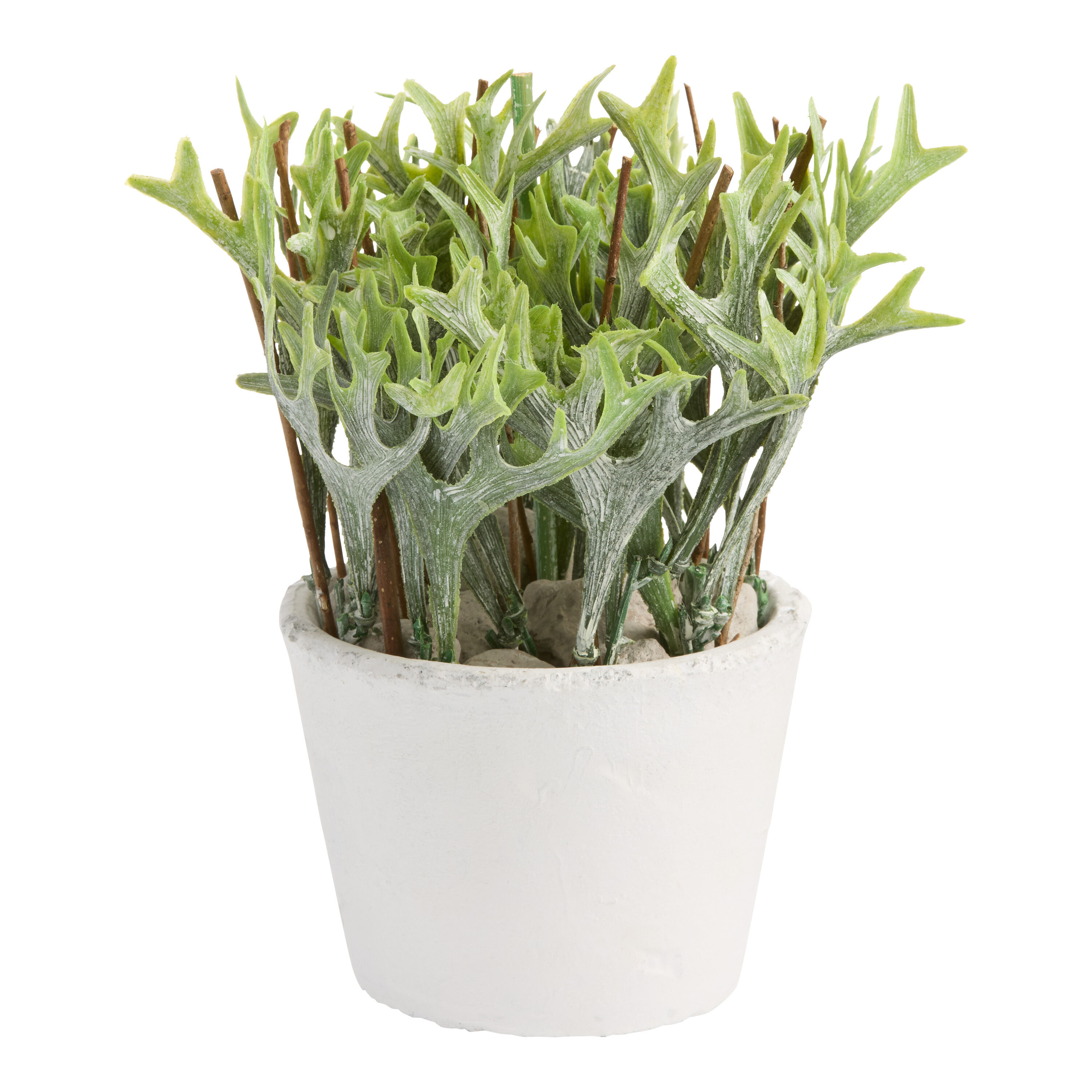 Mini Faux Staghorn Fern in Cement Pot