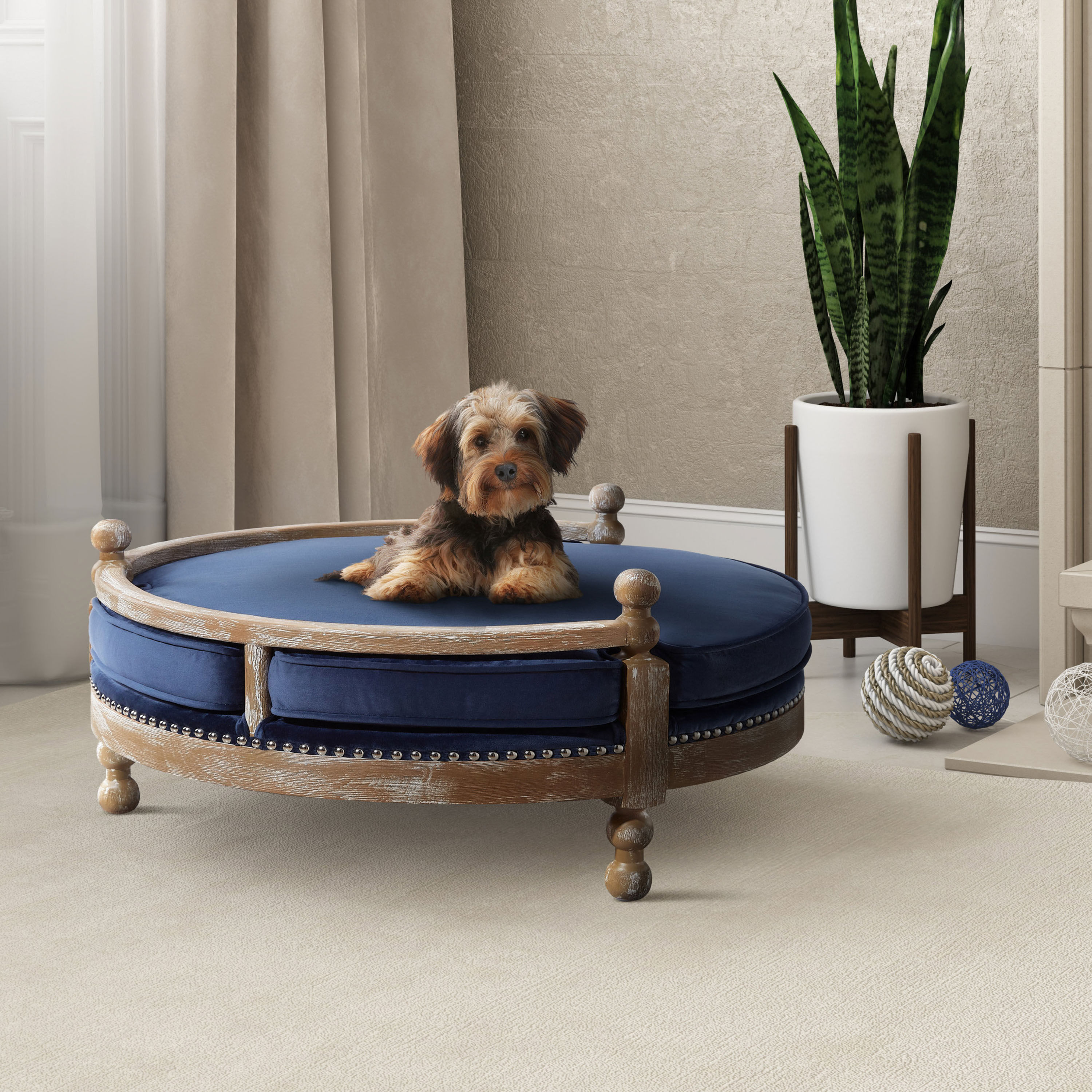 World market dog bed top