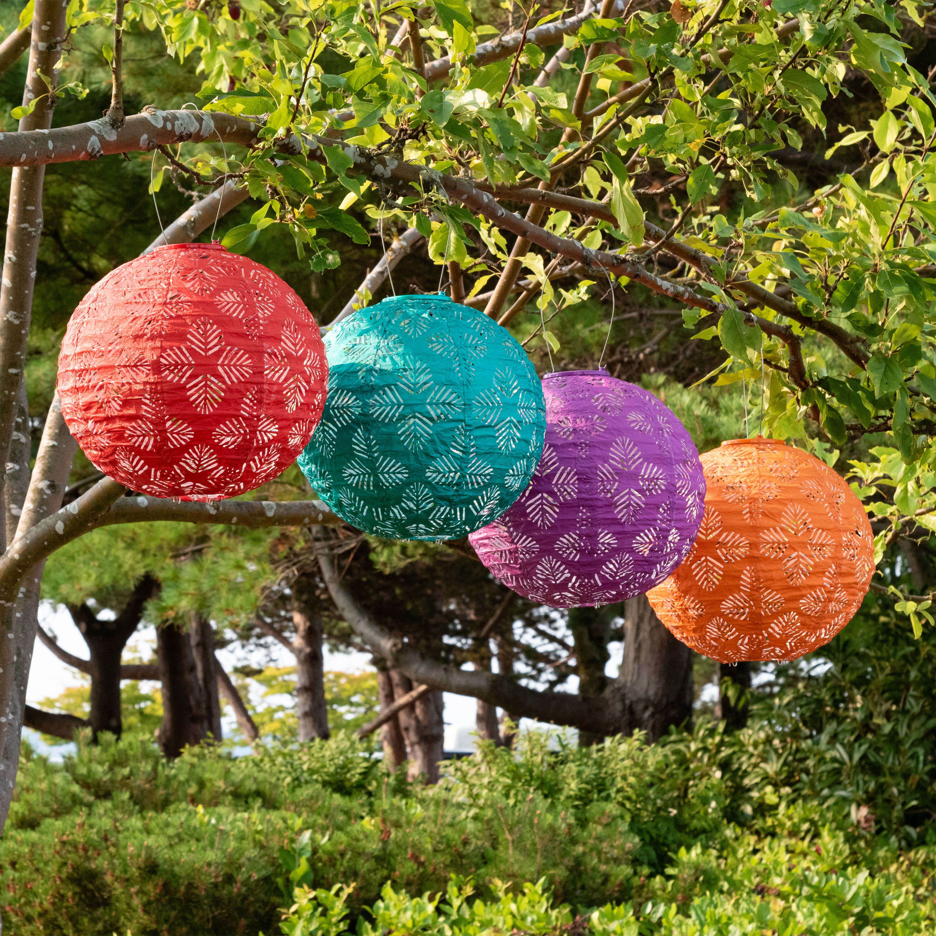 World market solar lantern outlet