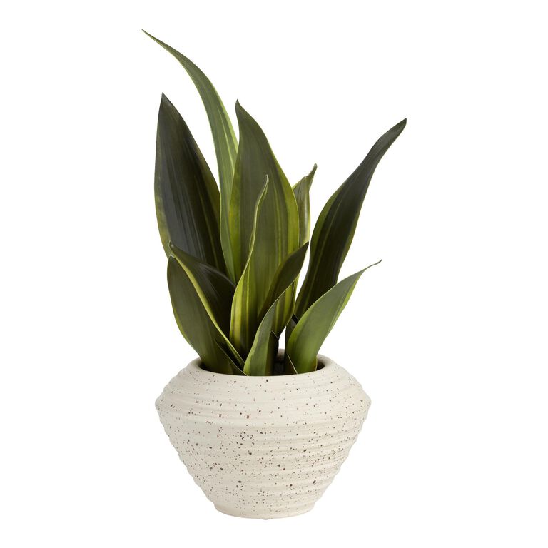 Faux Snake Plant by World Market